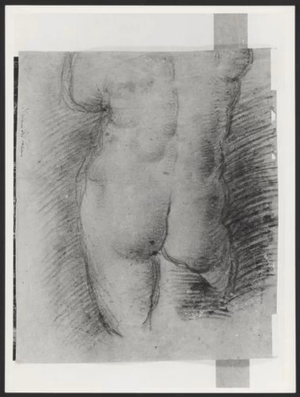 Francesco Bassano-151-Studio di nudo